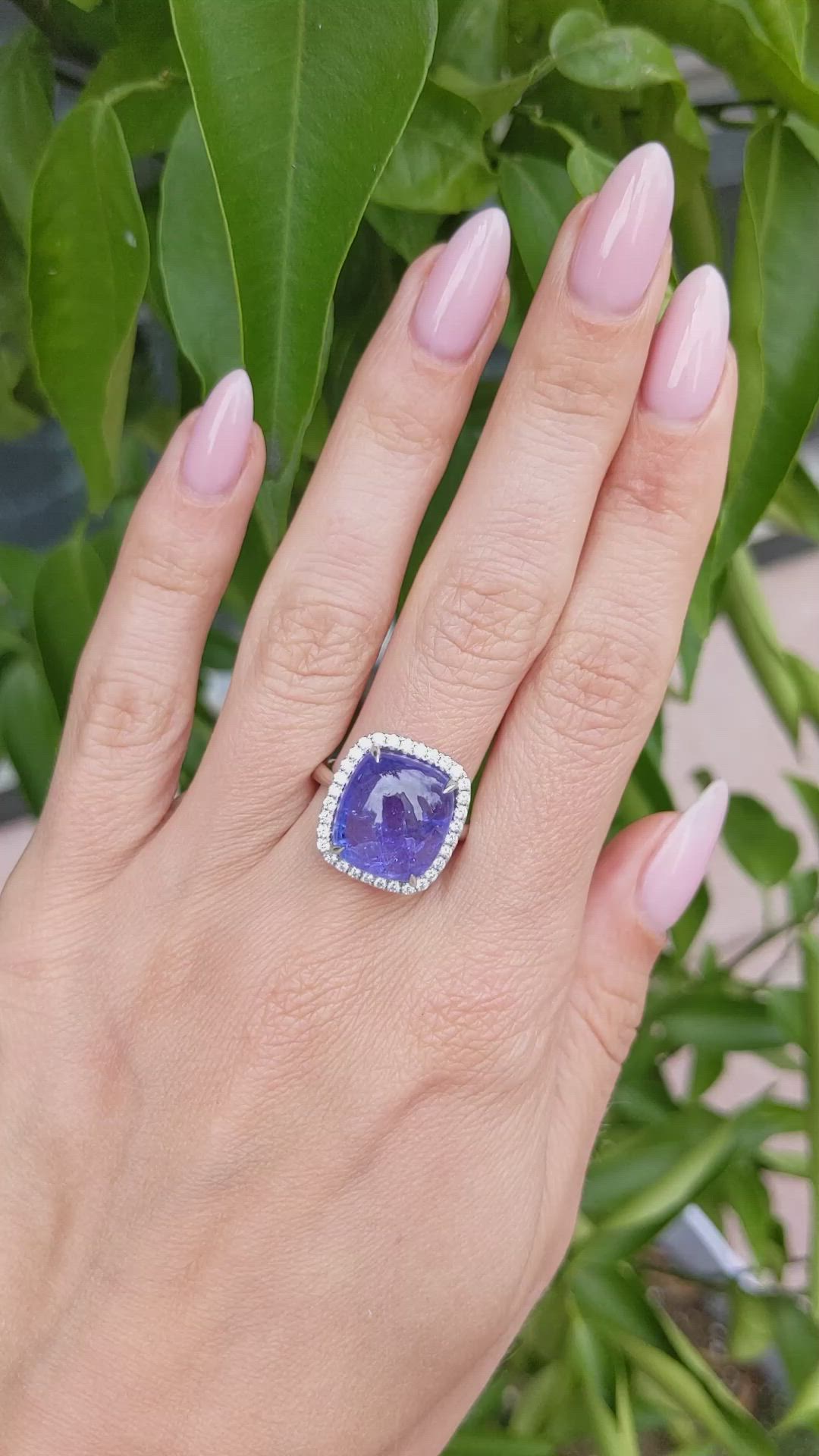 11.58 Ct. Violet Tanzanite and Natural Diamond Pave Ring, 14K White Gold Size Video