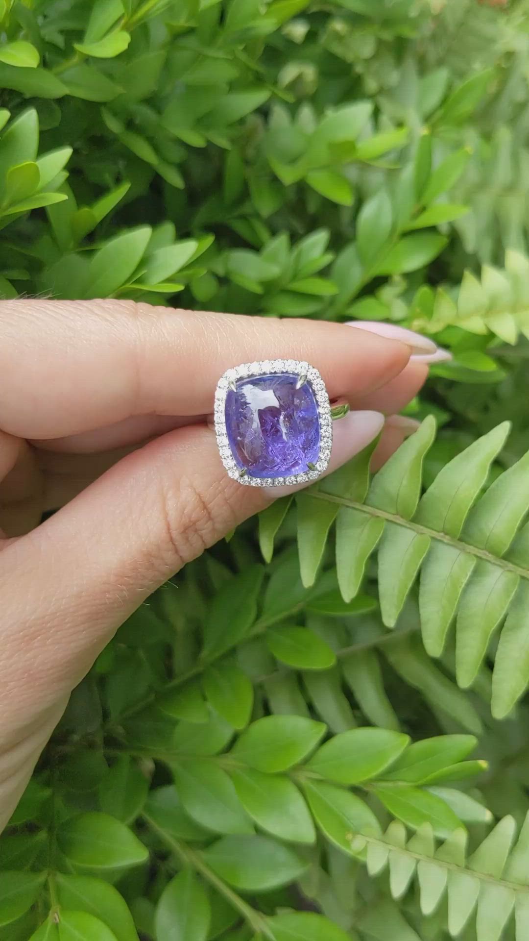 11.58 Ct. Violet Tanzanite and Natural Diamond Pave Ring, 14K White Gold Size Video