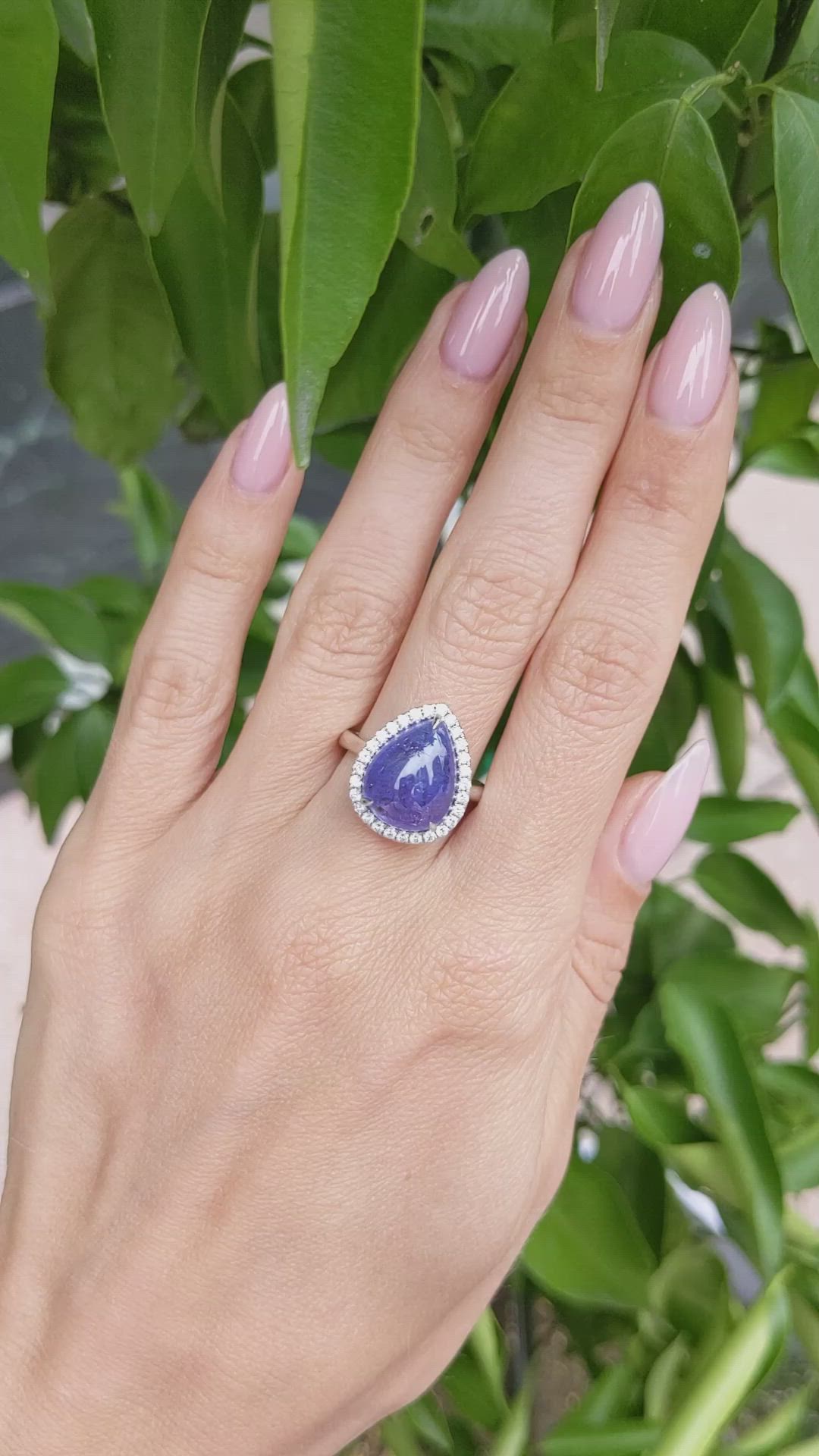 8.08 Ct. Violet Tanzanite and Natural Diamond Pave Ring, 14K White Gold Size Video