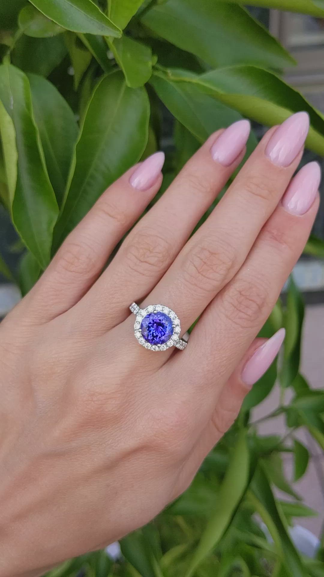 3.34 Ct. Violet Tanzanite and Natural Diamond Pave Ring, 18K White Gold Size Video