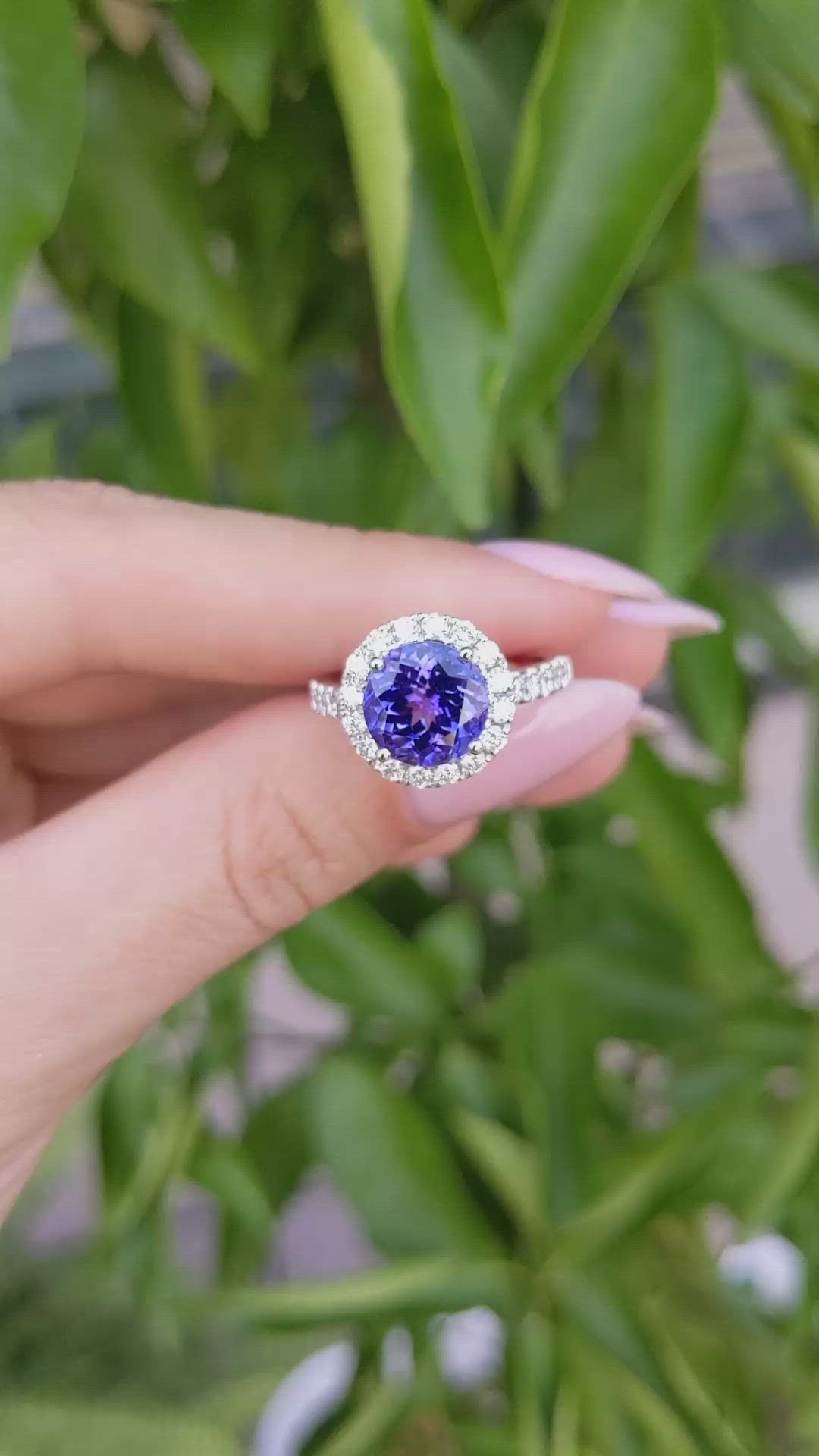 3.34 Ct. Violet Tanzanite and Natural Diamond Pave Ring, 18K White Gold Size Video