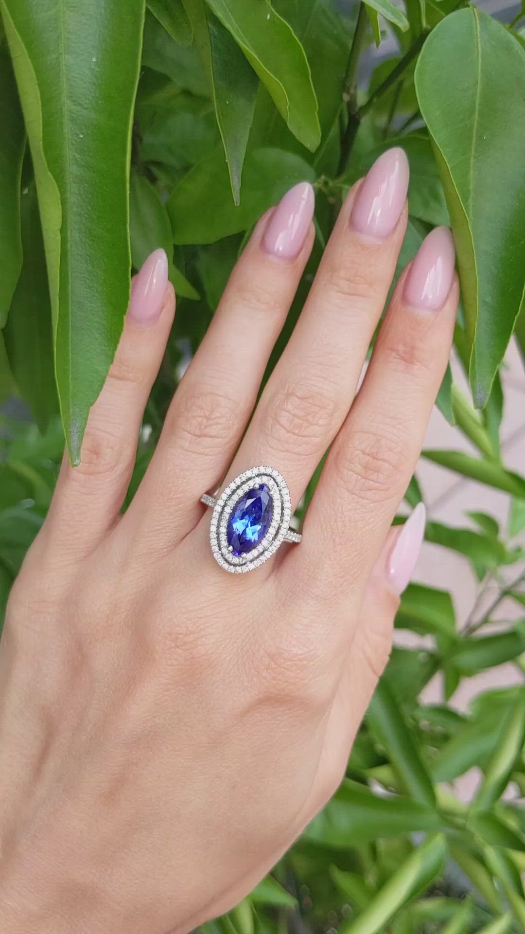 4.01 Ct. Violet Tanzanite and Natural Diamond Pave Ring, 14K White Gold Size Video