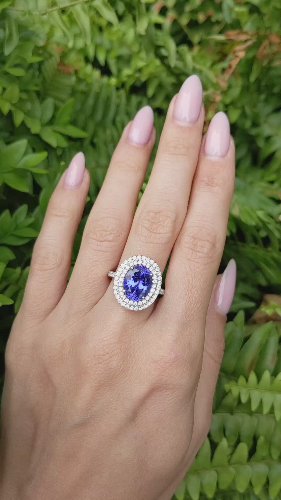 5.08 Ct. Violet Tanzanite and Natural Diamond Pave Ring, 14K White Gold Size Video