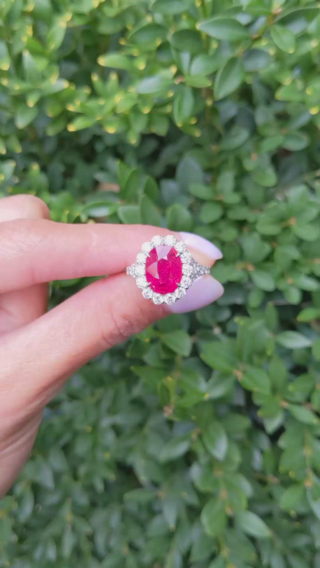 4.10 Ct. Ruby Natural Diamond Pave Ring, 18K White Gold Size Video