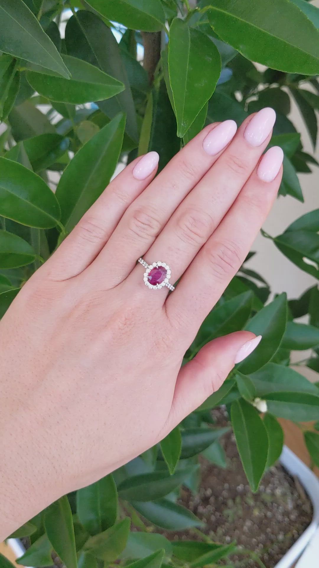 1.34 Ct. Ruby and Natural Diamond Pave Ring, 18K White Gold Size Video