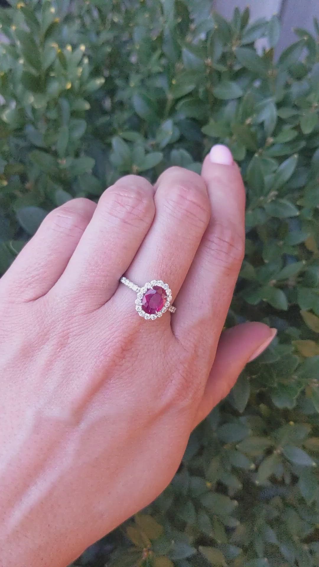 1.34 Ct. Ruby Natural Diamond Pave Ring, 18K White Gold Size Video