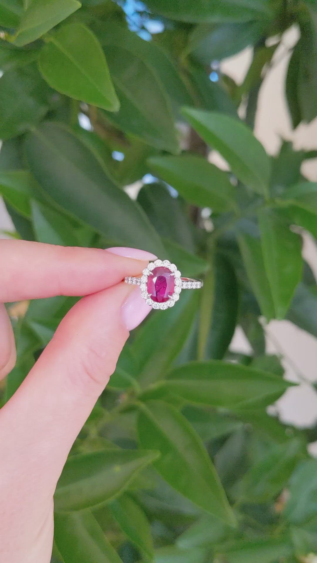1.34 Ct. Ruby and Natural Diamond Pave Ring, 18K White Gold Size Video