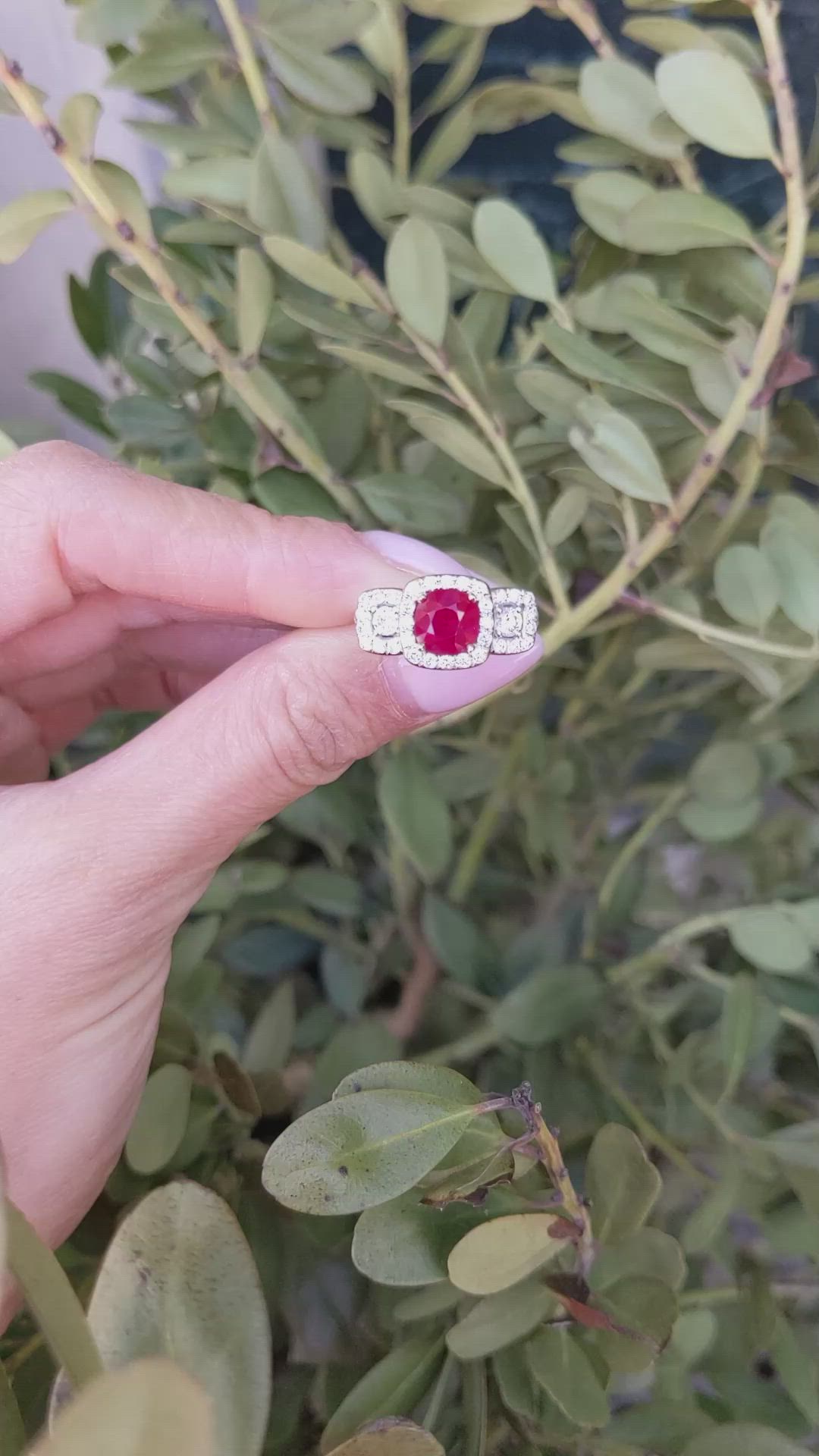 2.01 Ct. Ruby and Natural Diamond Pave Ring, 18K White & Yellow Size Video