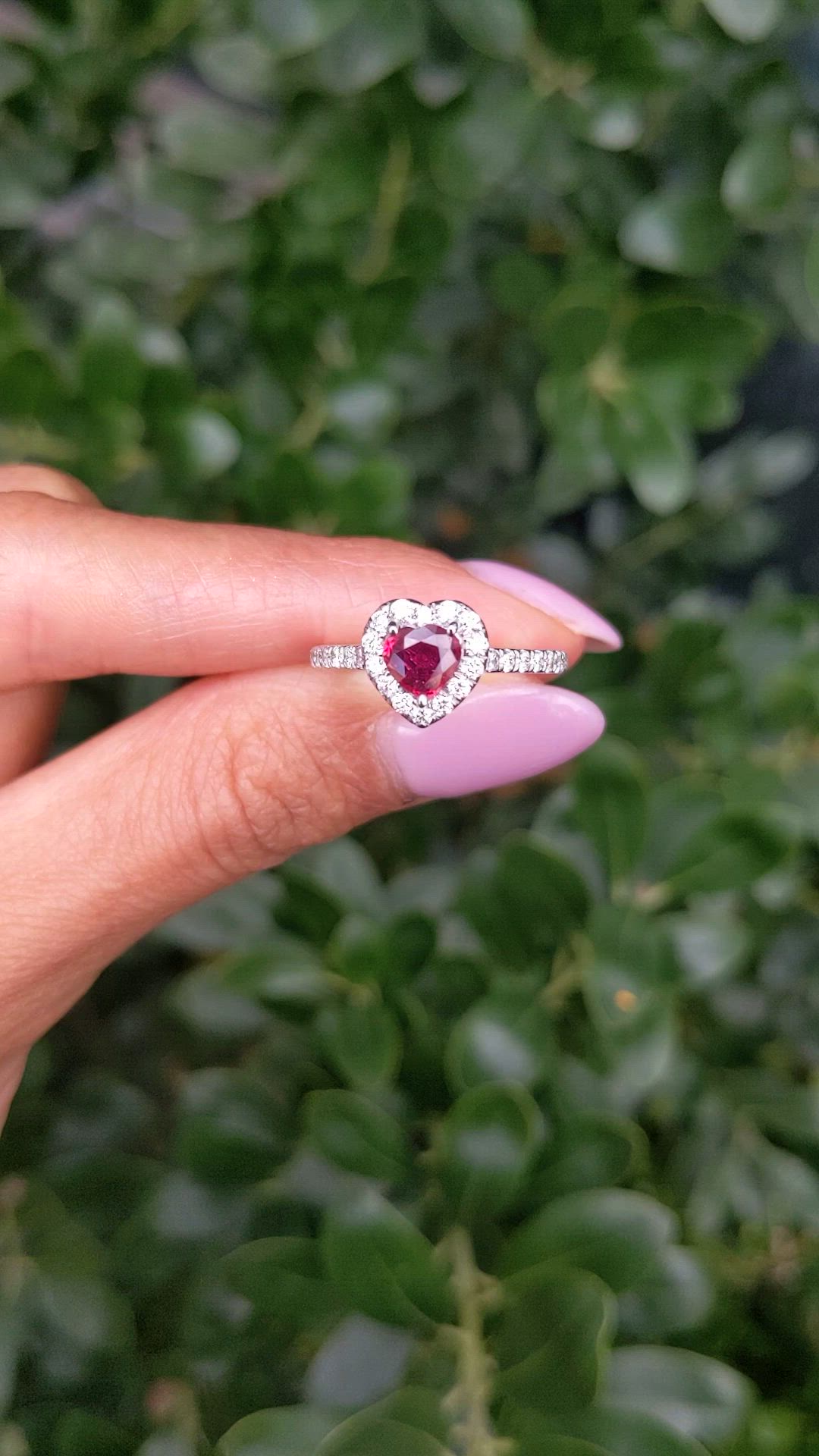 0.61 Ct. Ruby and Natural Diamond Pave Ring, 14K White Gold Size Video