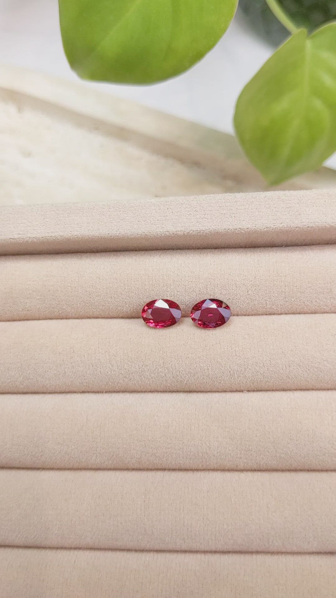 2.56 Ct.Tw.Total Carat Weight Ruby Pair from Mozambique Size Video