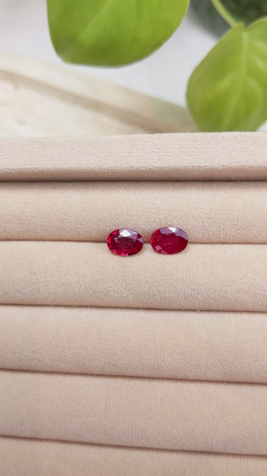 2.40 Ct.Tw.Total Carat Weight Ruby Pair from Mozambique Size Video