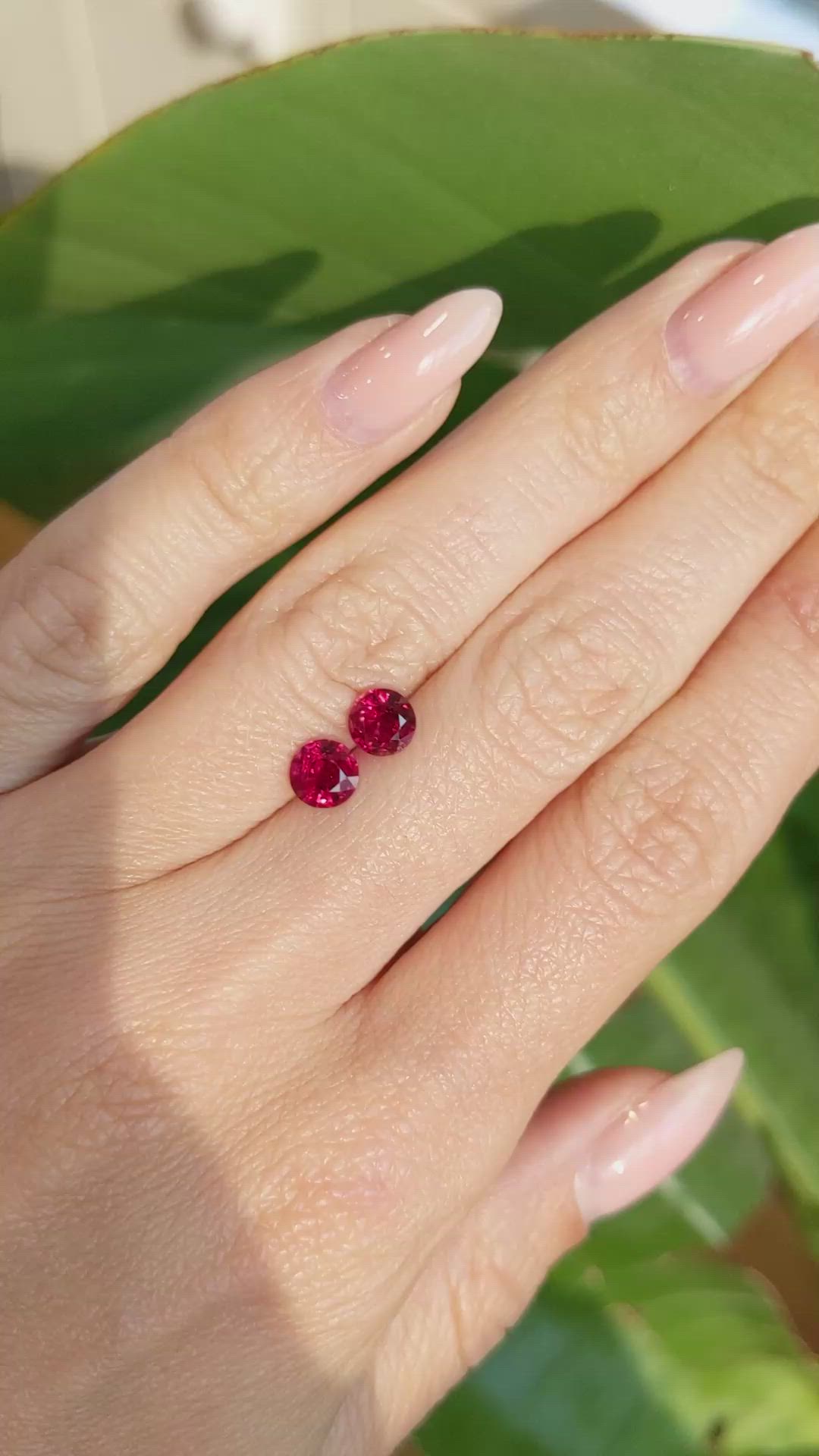 1.47 Ct.Tw.Total Carat Weight Ruby Pair from Mozambique Size Video