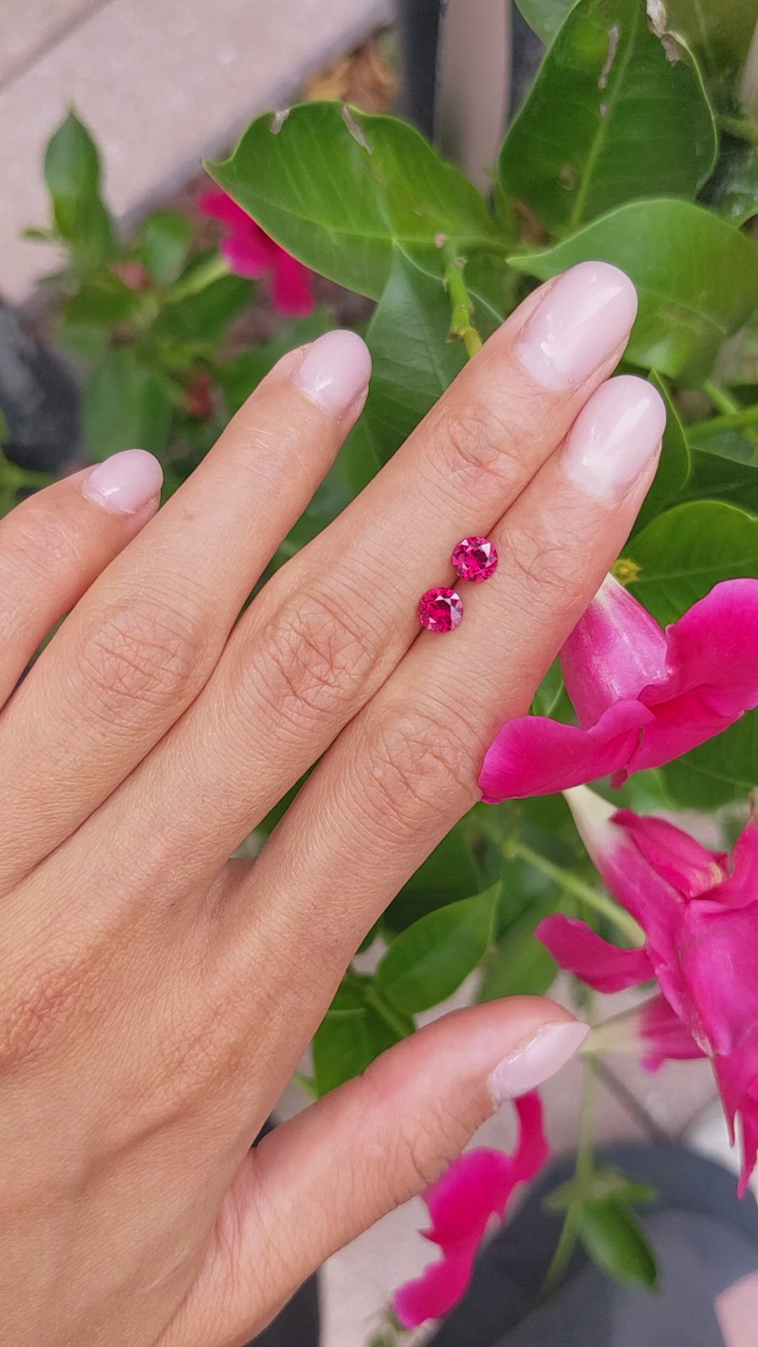 1.16 Ct.Tw.Total Carat Weight Ruby Pair from Mozambique Size Video