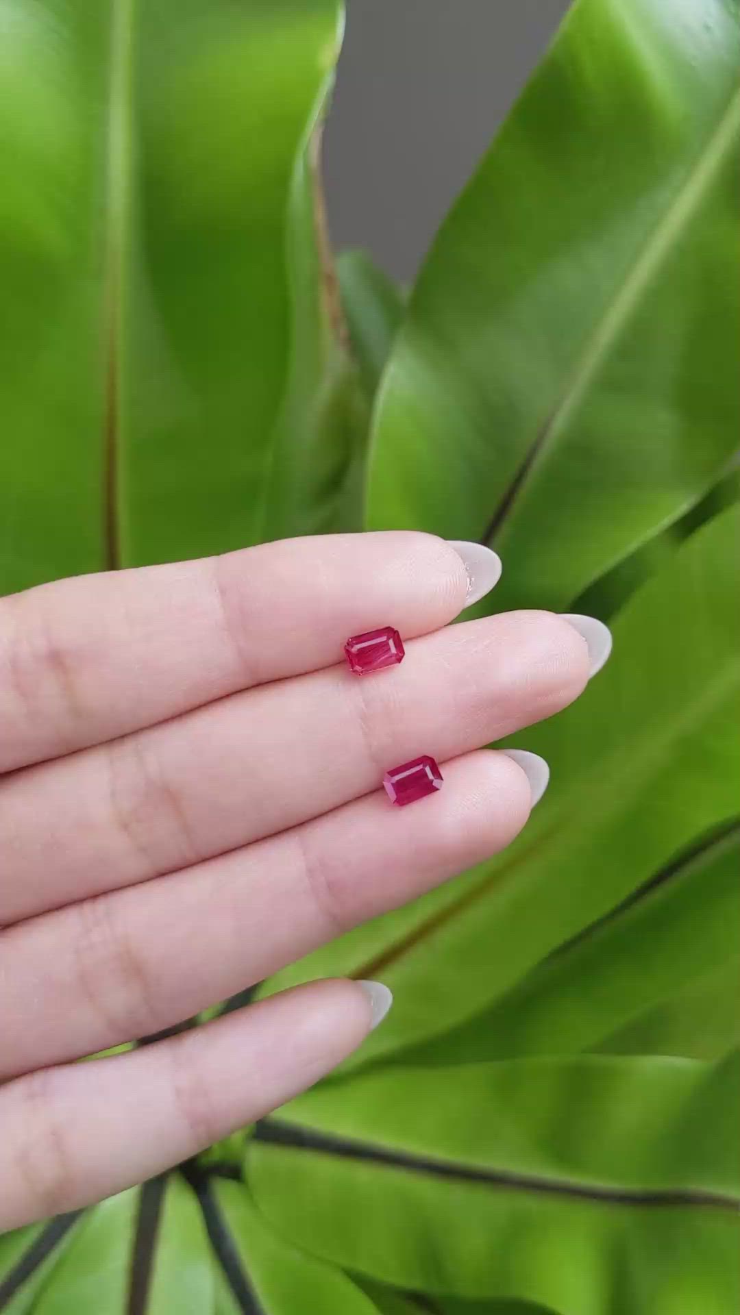 1.15 Ct.Tw.Total Carat Weight Ruby Pair from Mozambique Size Video