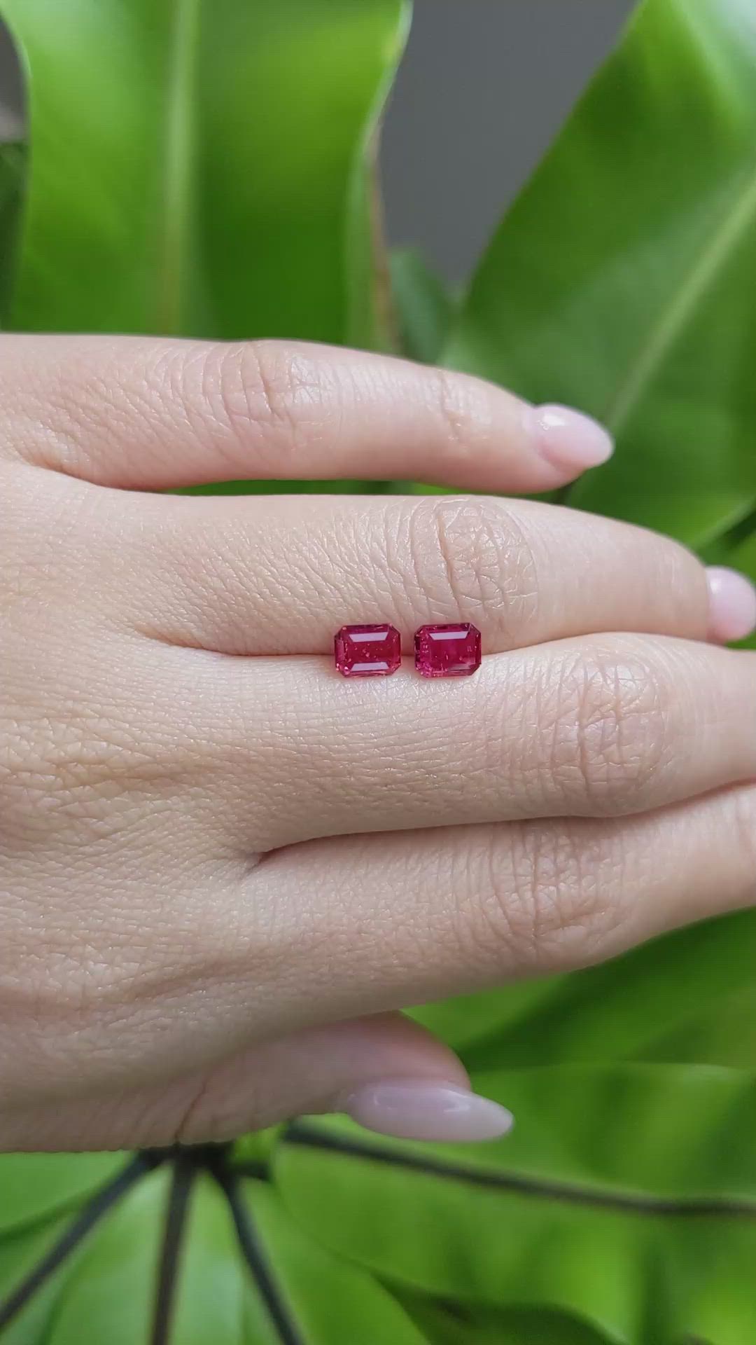 1.51 Ct.Tw.Total Carat Weight Ruby Pair from Mozambique Size Video