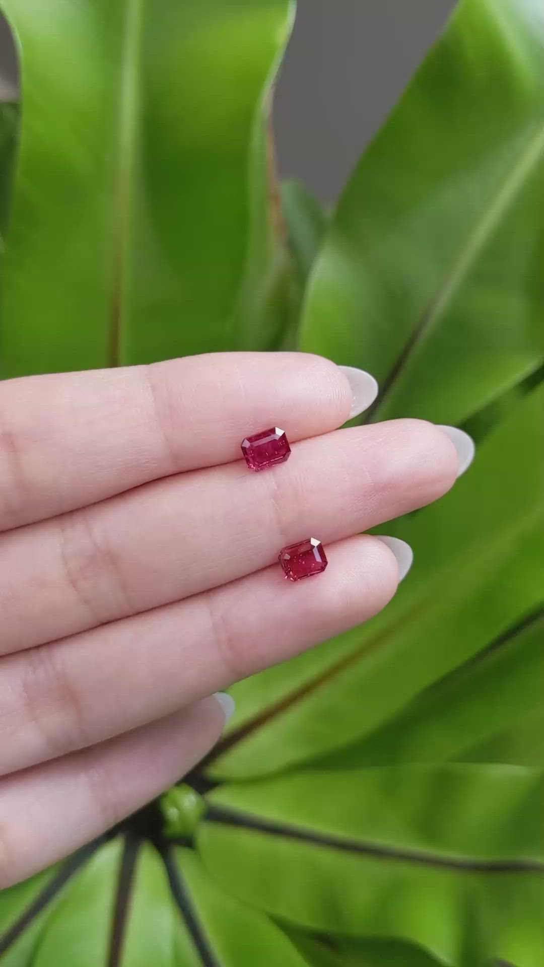 1.51 Ct.Tw.Total Carat Weight Ruby Pair from Mozambique Size Video