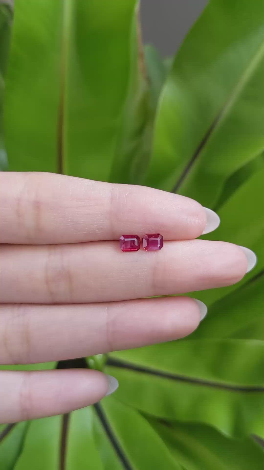 1.04 Ct.Tw.Total Carat Weight Ruby Pair from Mozambique Size Video
