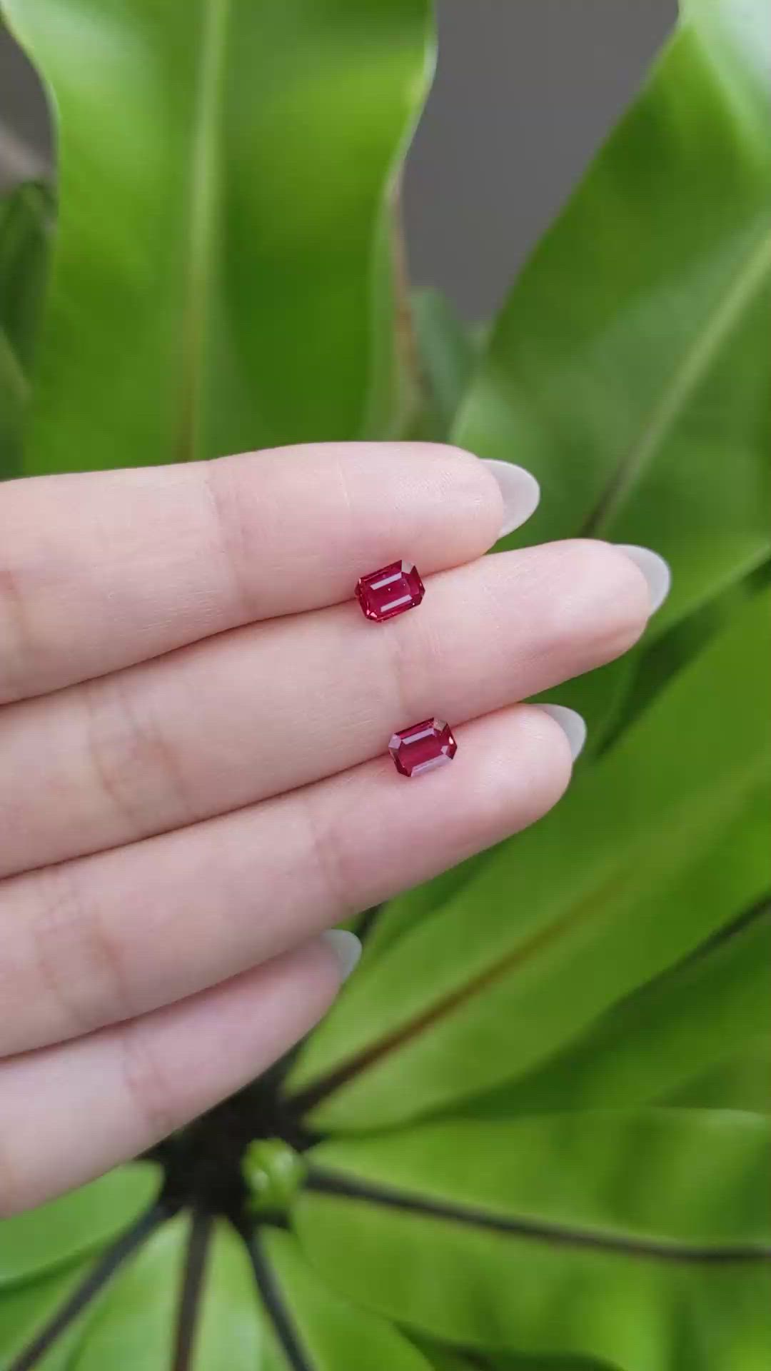 1.15 Ct.Tw.Total Carat Weight Ruby Pair from Mozambique Size Video
