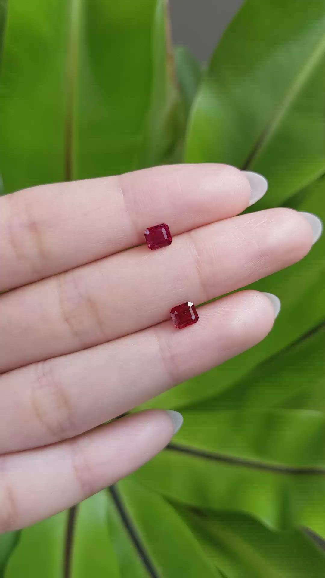 1.32 Ct.Tw.Total Carat Weight Ruby Pair from Mozambique Size Video