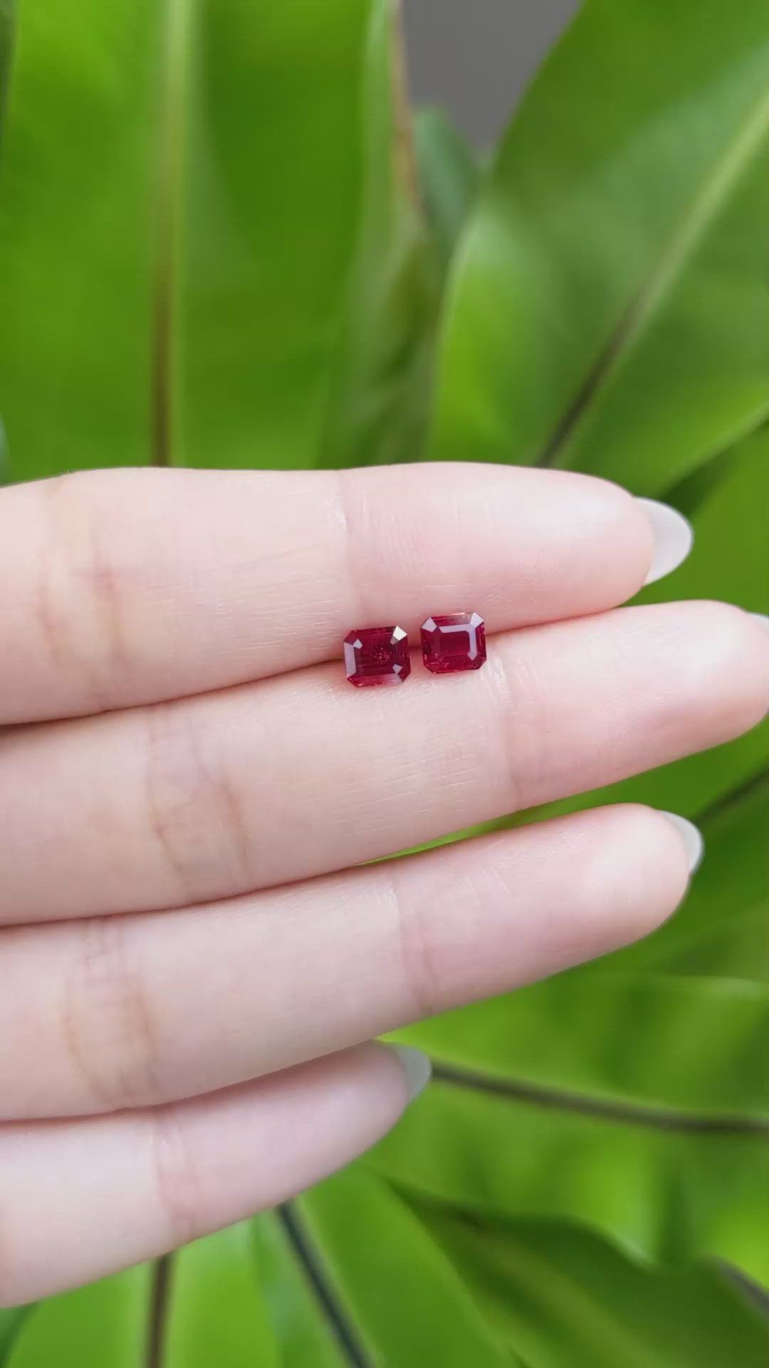 1.32 Ct.Tw.Total Carat Weight Ruby Pair from Mozambique Size Video