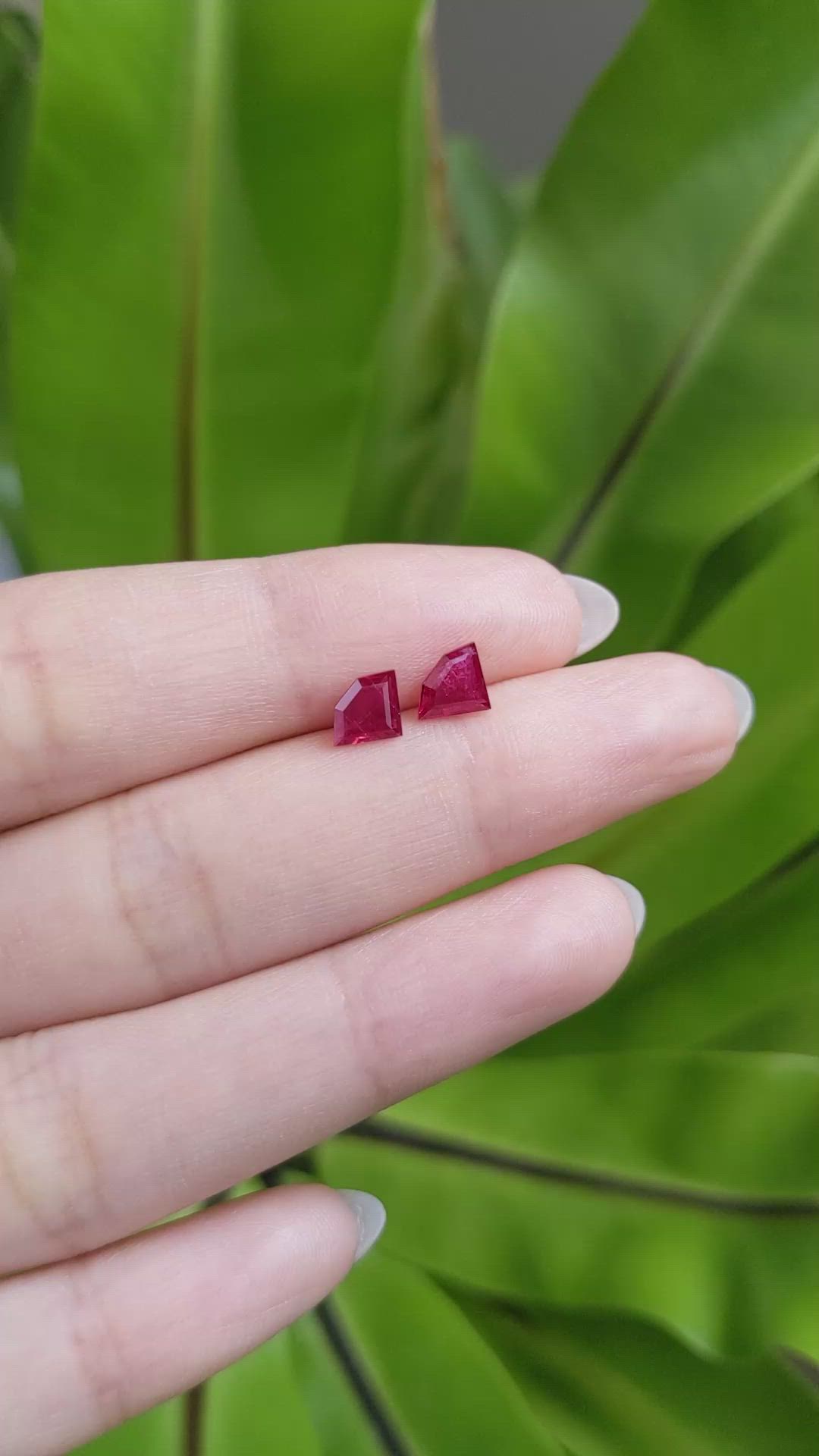 1.33 Ct.Tw.Total Carat Weight Ruby Pair from Mozambique Size Video