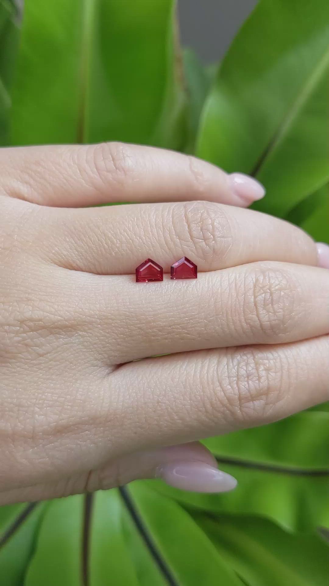 0.92 Ct.Tw.Total Carat Weight Ruby Pair from Mozambique Size Video