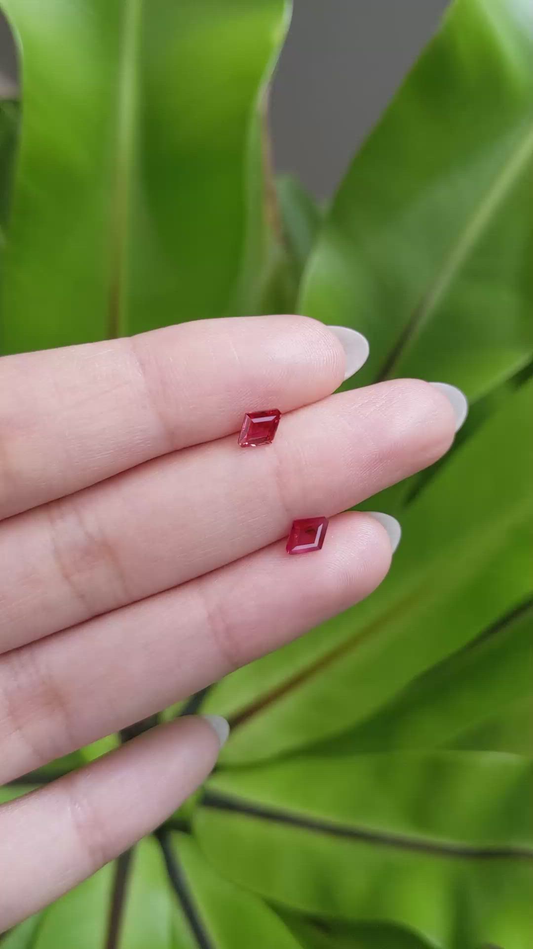 0.91&nbsp;Ct.Tw.Total Carat Weight Ruby Pair from Mozambique Size Video