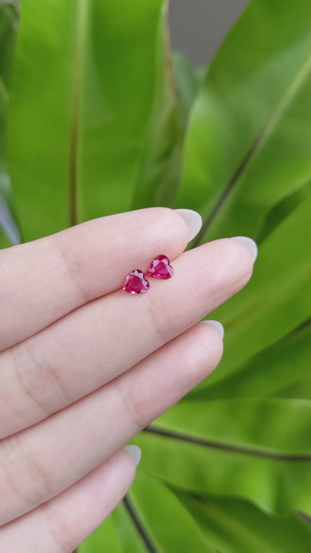 0.75 Ct.Tw.Total Carat Weight Ruby Pair from Mozambique Size Video