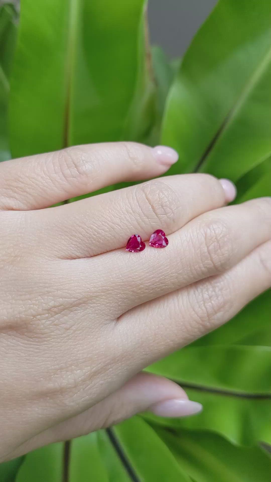 0.75 Ct.Tw.Total Carat Weight Ruby Pair from Mozambique Size Video