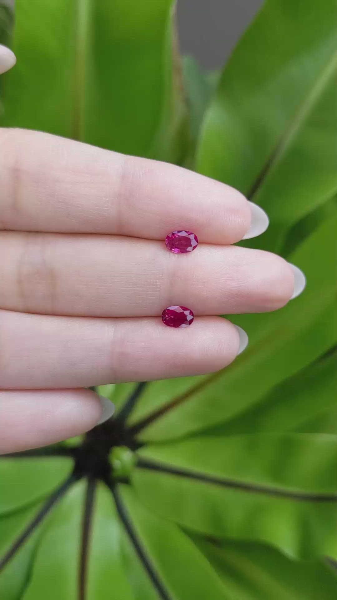 0.84 Ct.Tw.Total Carat Weight Ruby Pair from Mozambique Size Video