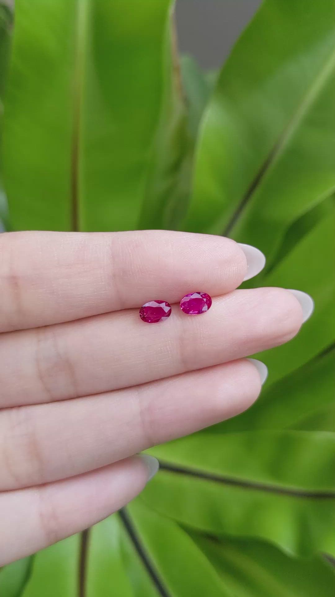 0.84 Ct.Tw.Total Carat Weight Ruby Pair from Mozambique Size Video