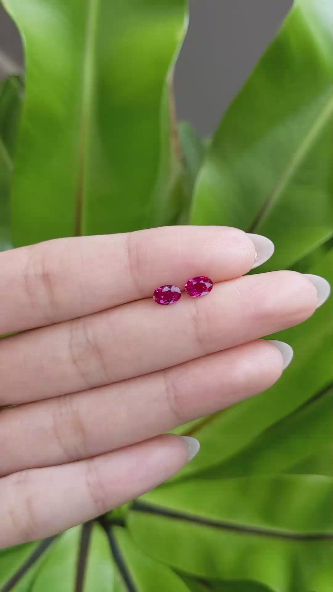 0.94 Ct.Tw.Total Carat Weight Ruby Pair from Mozambique Size Video