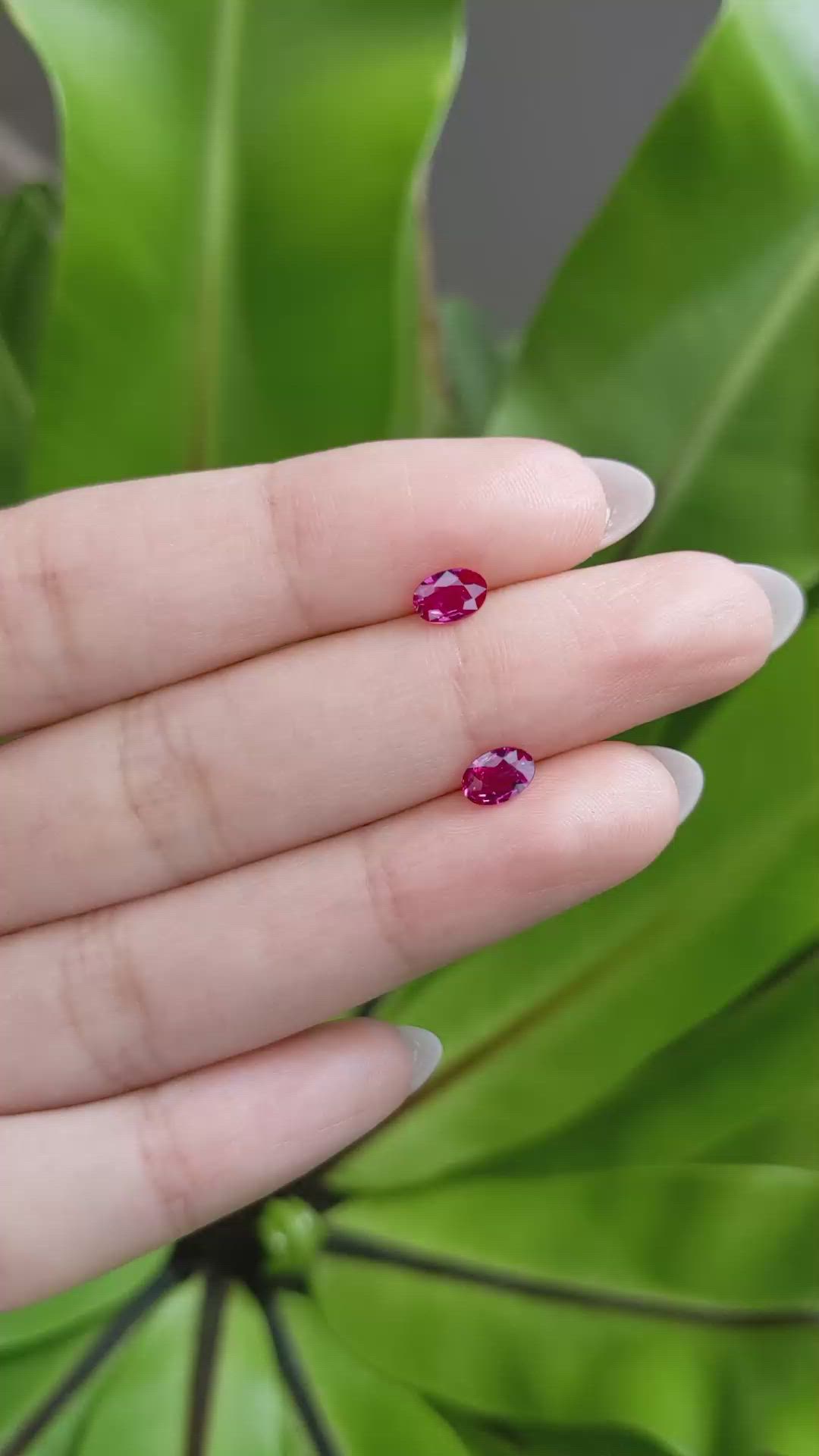 0.94 Ct.Tw.Total Carat Weight Ruby Pair from Mozambique Size Video