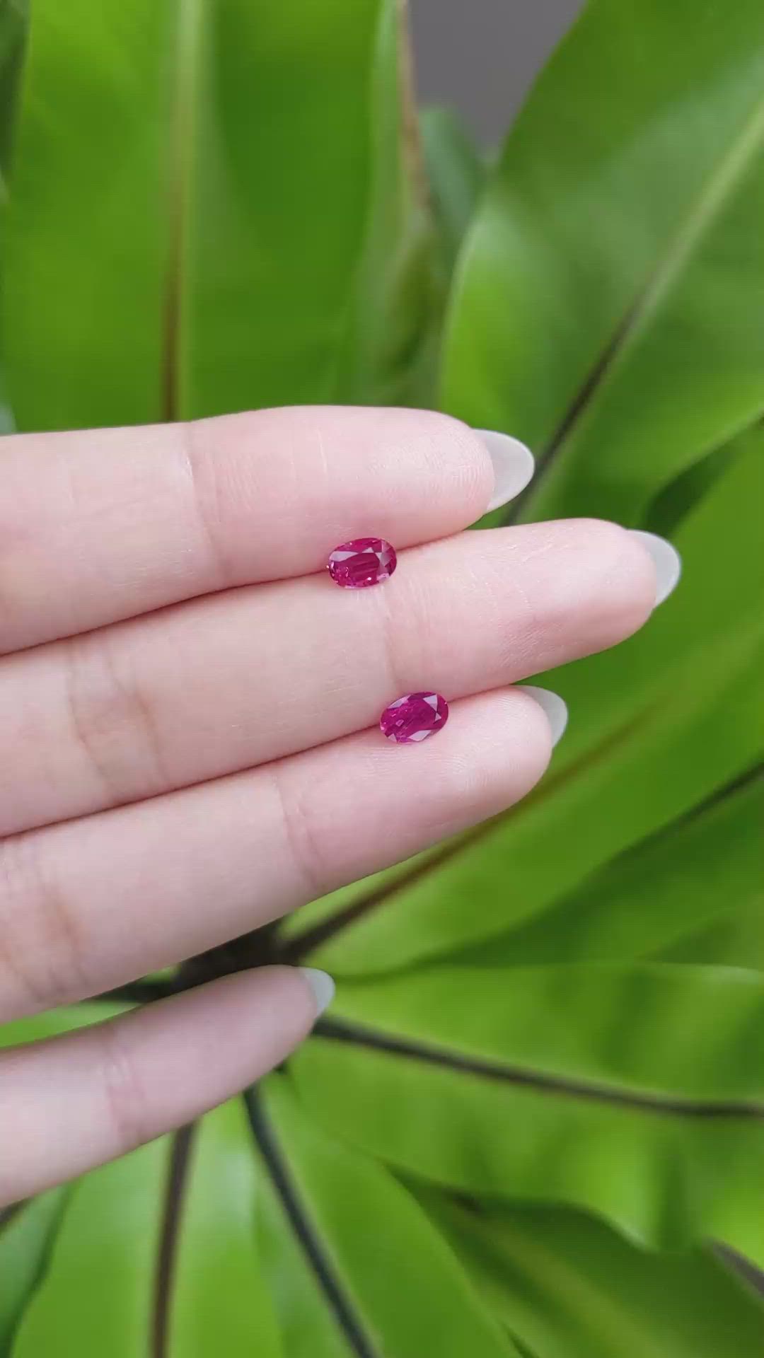 0.83 Ct.Tw.Total Carat Weight Ruby Pair from Mozambique Size Video