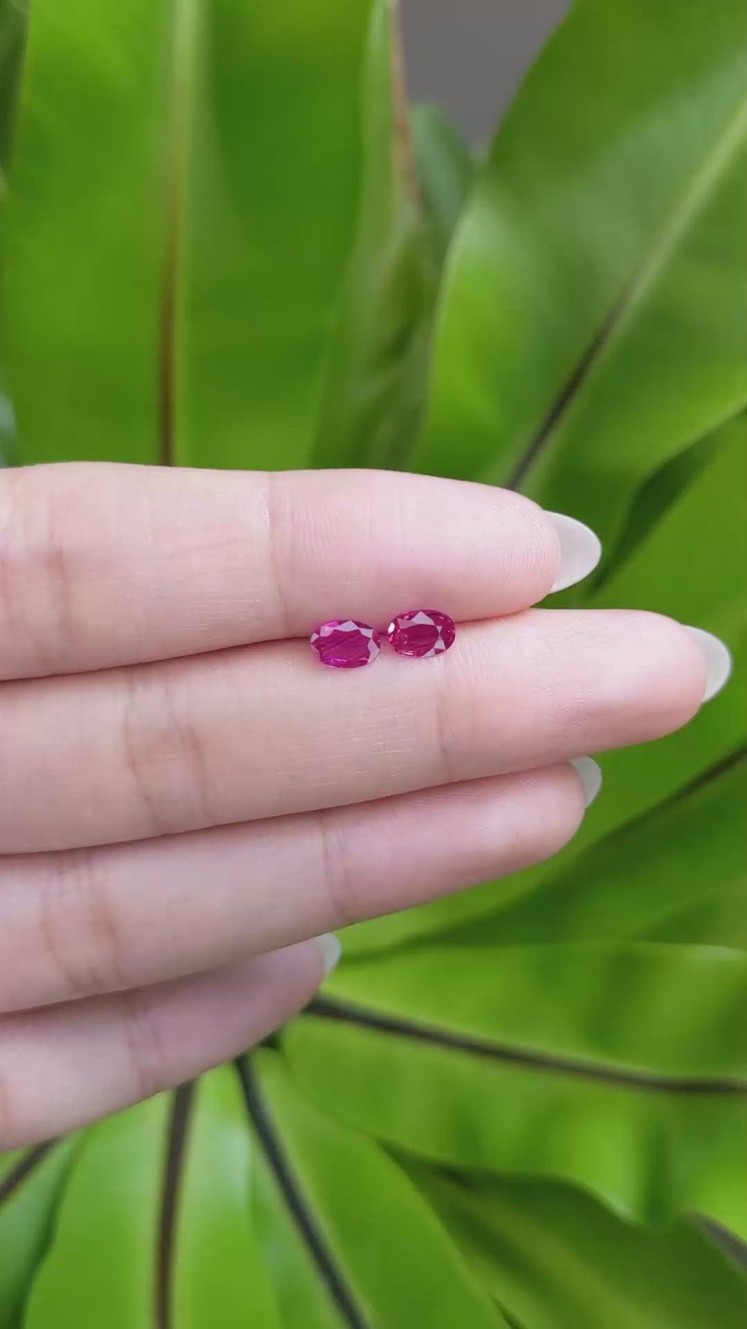0.83 Ct.Tw.Total Carat Weight Ruby Pair from Mozambique Size Video