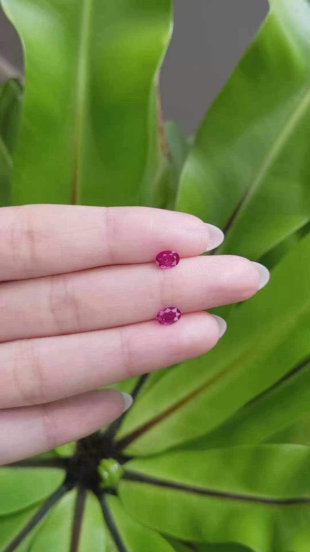 0.89 Ct.Tw.Total Carat Weight Ruby Pair from Mozambique Size Video