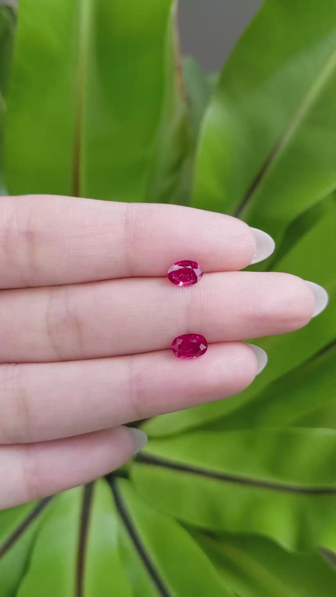 1.43 Ct.Tw.Total Carat Weight Ruby Pair from Mozambique Size Video