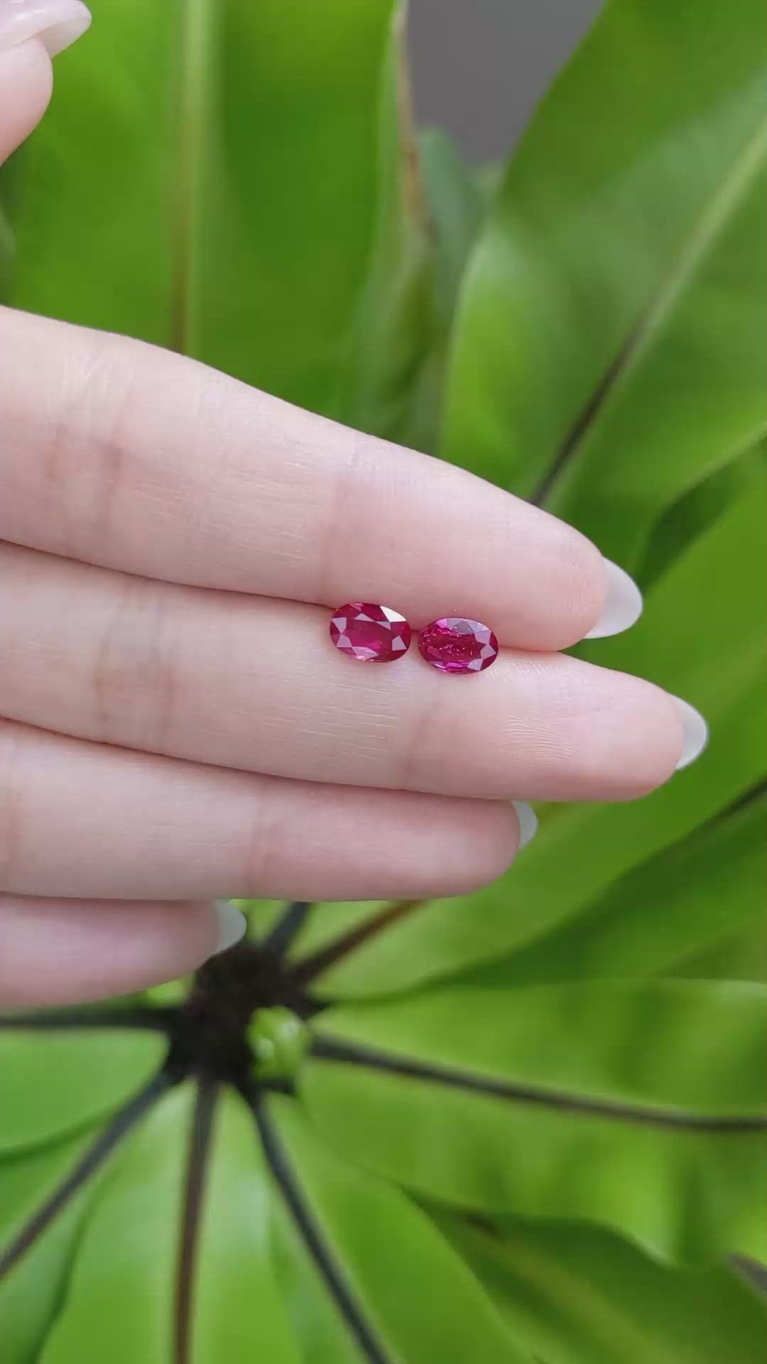 1.43 Ct.Tw.Total Carat Weight Ruby Pair from Mozambique Size Video