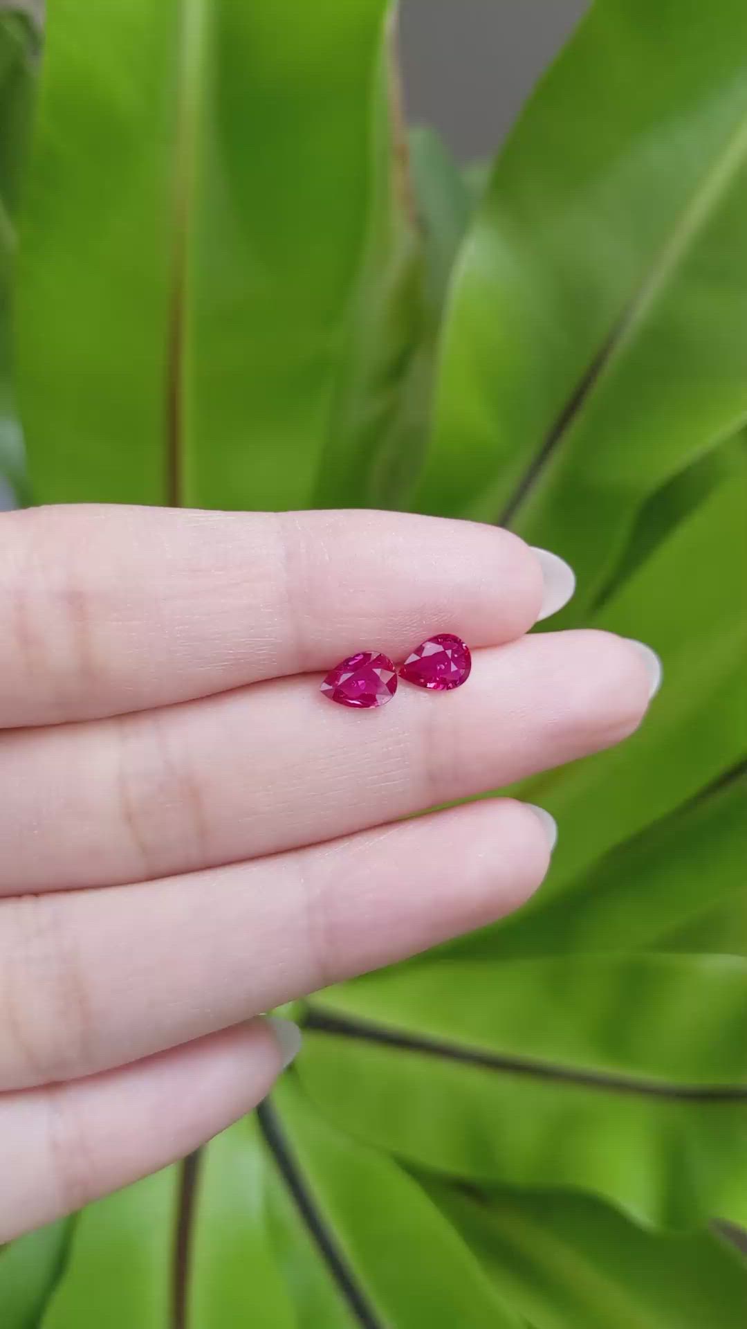1.20 Ct.Tw.Total Carat Weight Ruby Pair from Mozambique Size Video