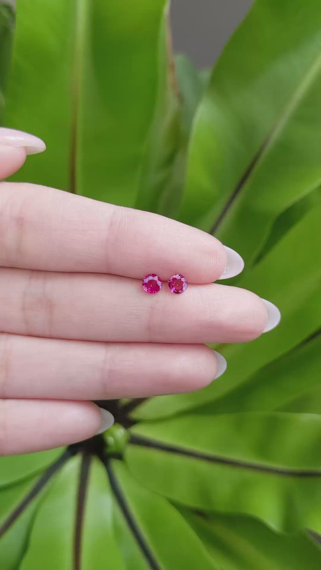0.61 Ct.Tw.Total Carat Weight Ruby Pair from Mozambique Size Video