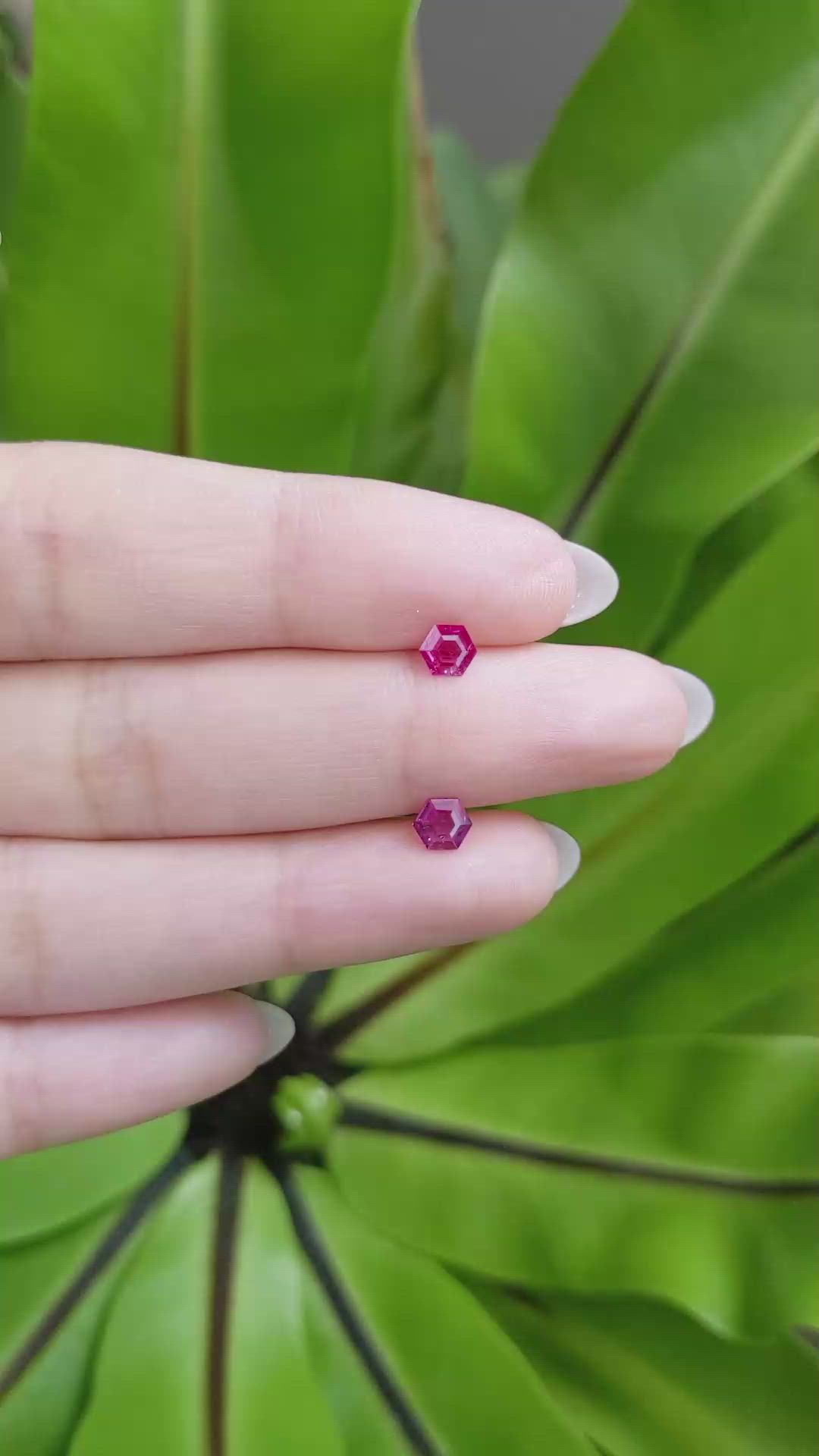 0.62 Ct.Tw.Total Carat Weight Ruby Pair from Mozambique Size Video
