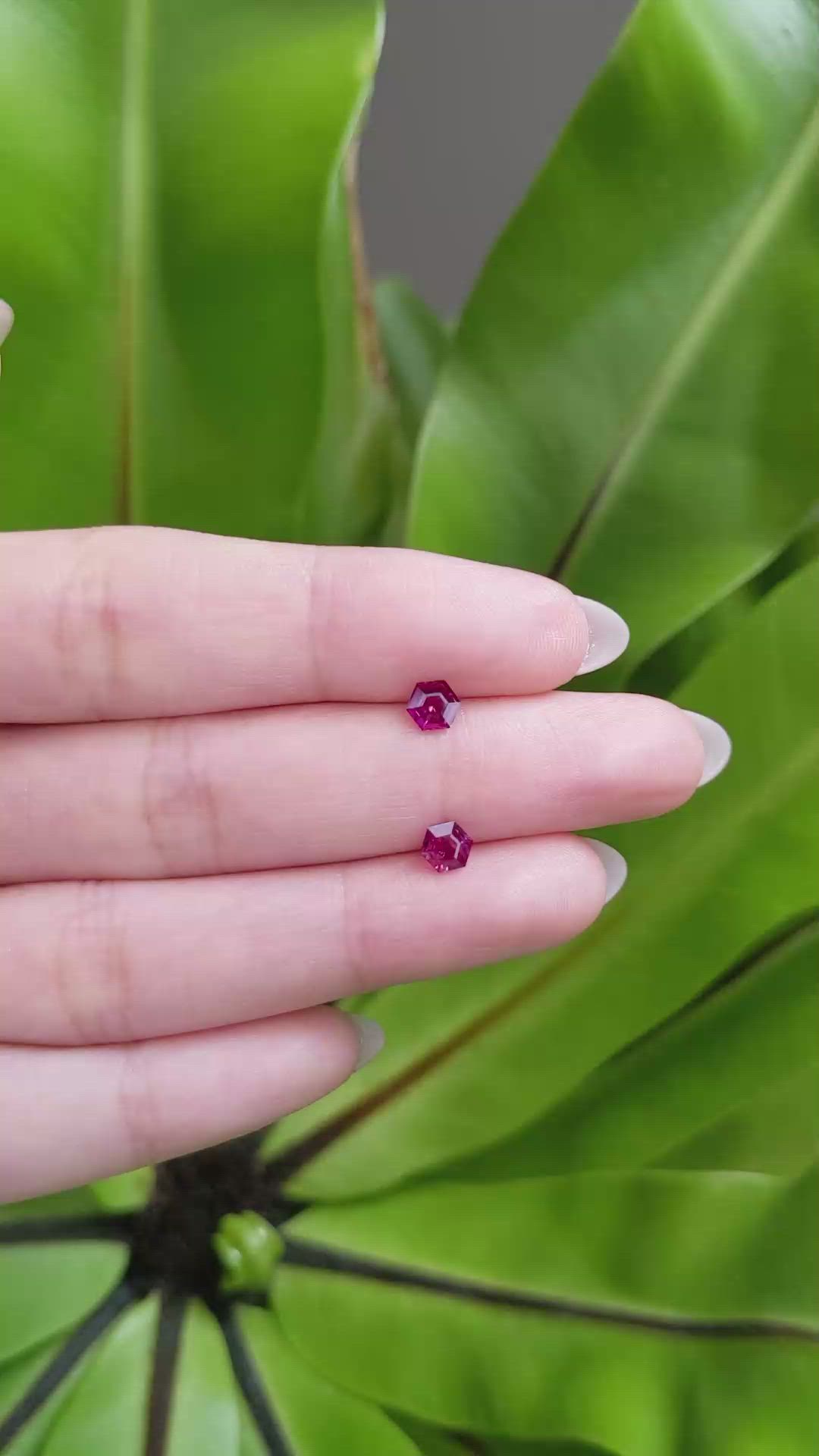 0.76 Ct.Tw.Total Carat Weight Ruby Pair from Mozambique Size Video