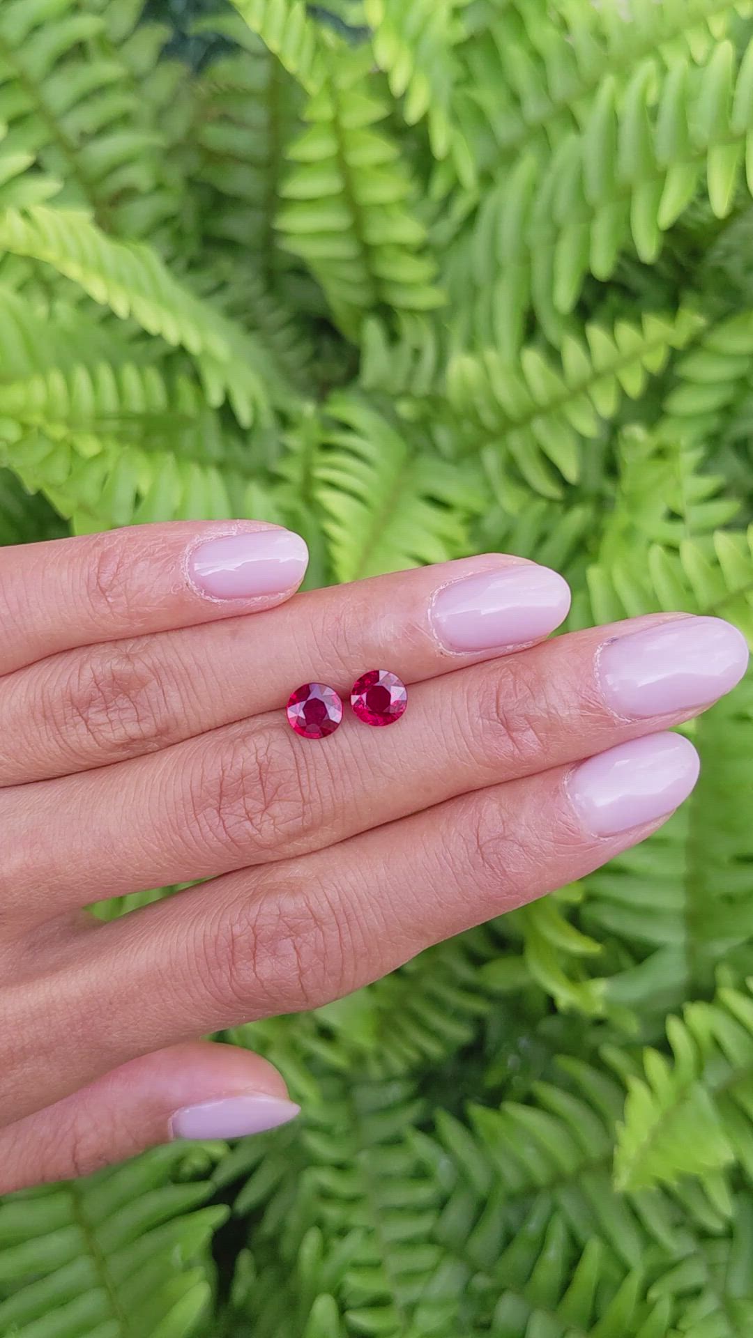 2.26 Ct.Tw.Total Carat Weight Ruby Pair from Mozambique Size Video
