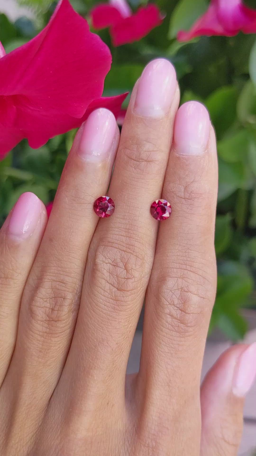 1.49 Ct.Tw.Total Carat Weight Ruby Pair from Mozambique Size Video