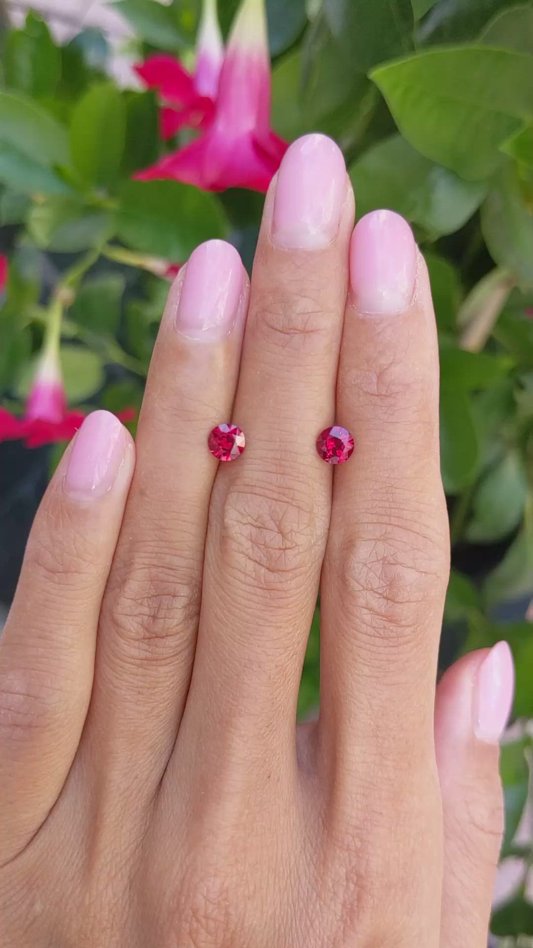 1.28 Ct.Tw.Total Carat Weight Ruby Pair from Mozambique Size Video