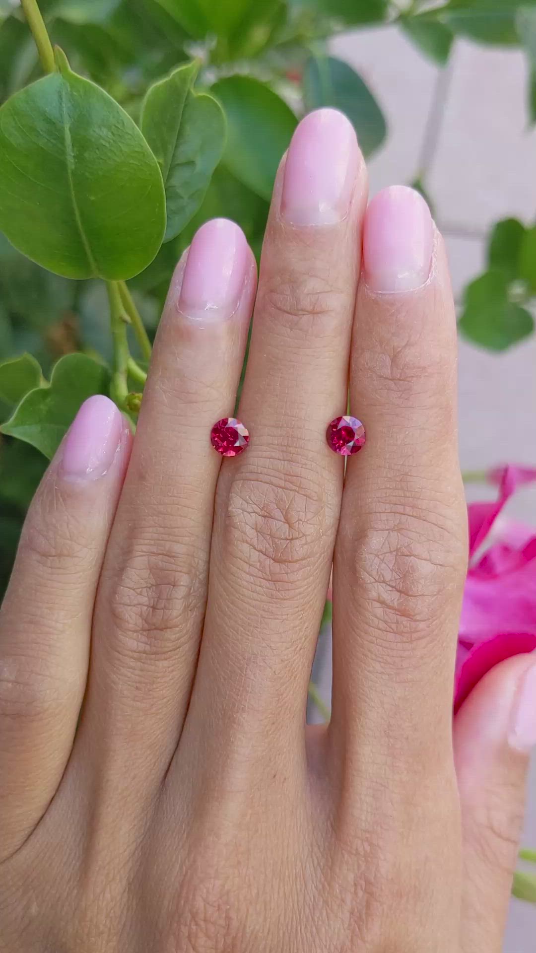 1.32 Ct.Tw.Total Carat Weight Ruby Pair from Mozambique Size Video