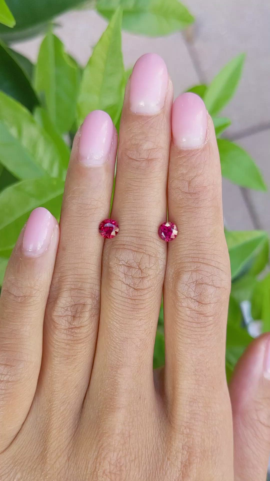 1.26 Ct.Tw.Total Carat Weight Ruby Pair from Mozambique Size Video