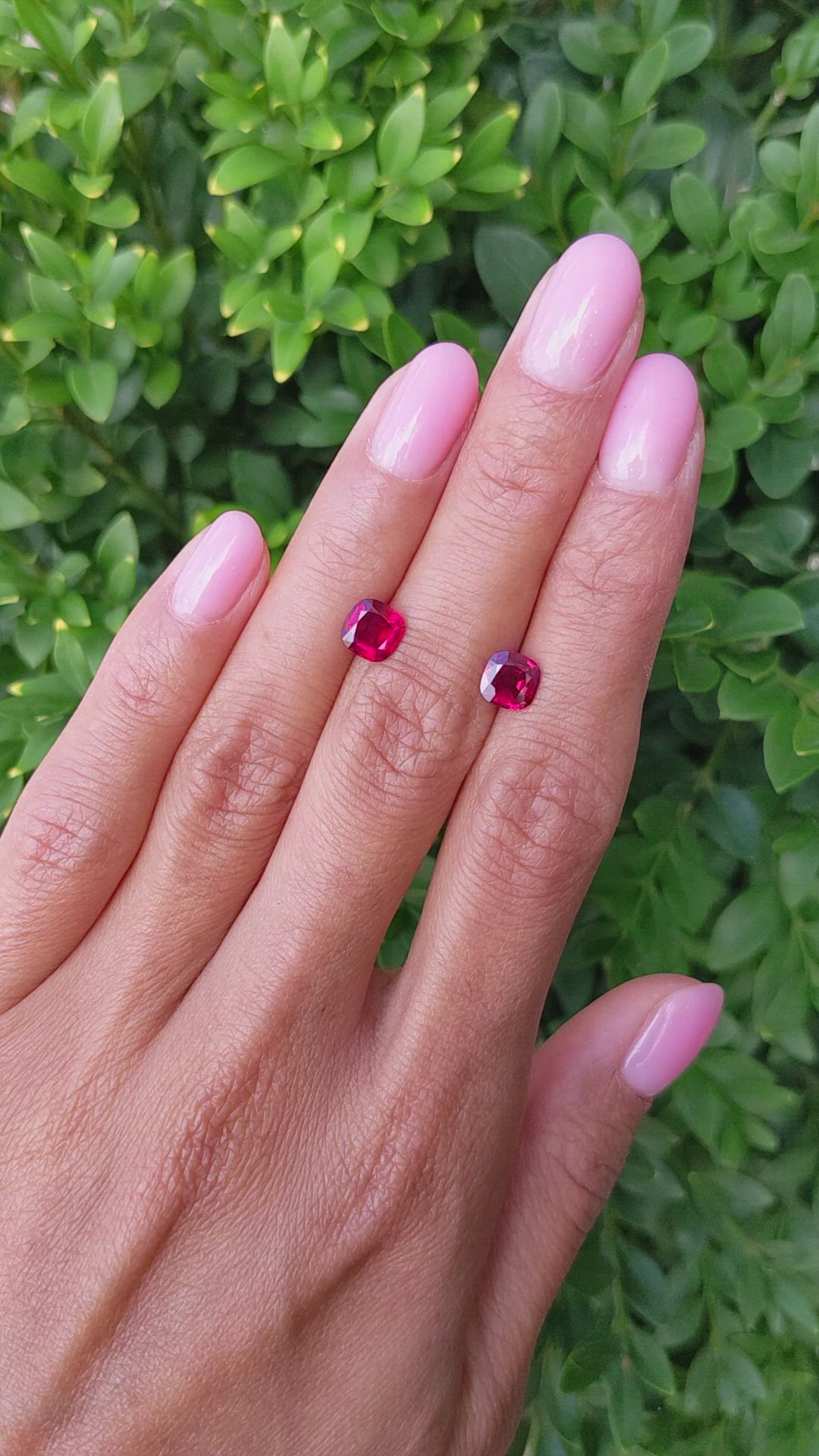 1.86 Ct.Tw.Total Carat Weight Ruby Pair from Mozambique Size Video