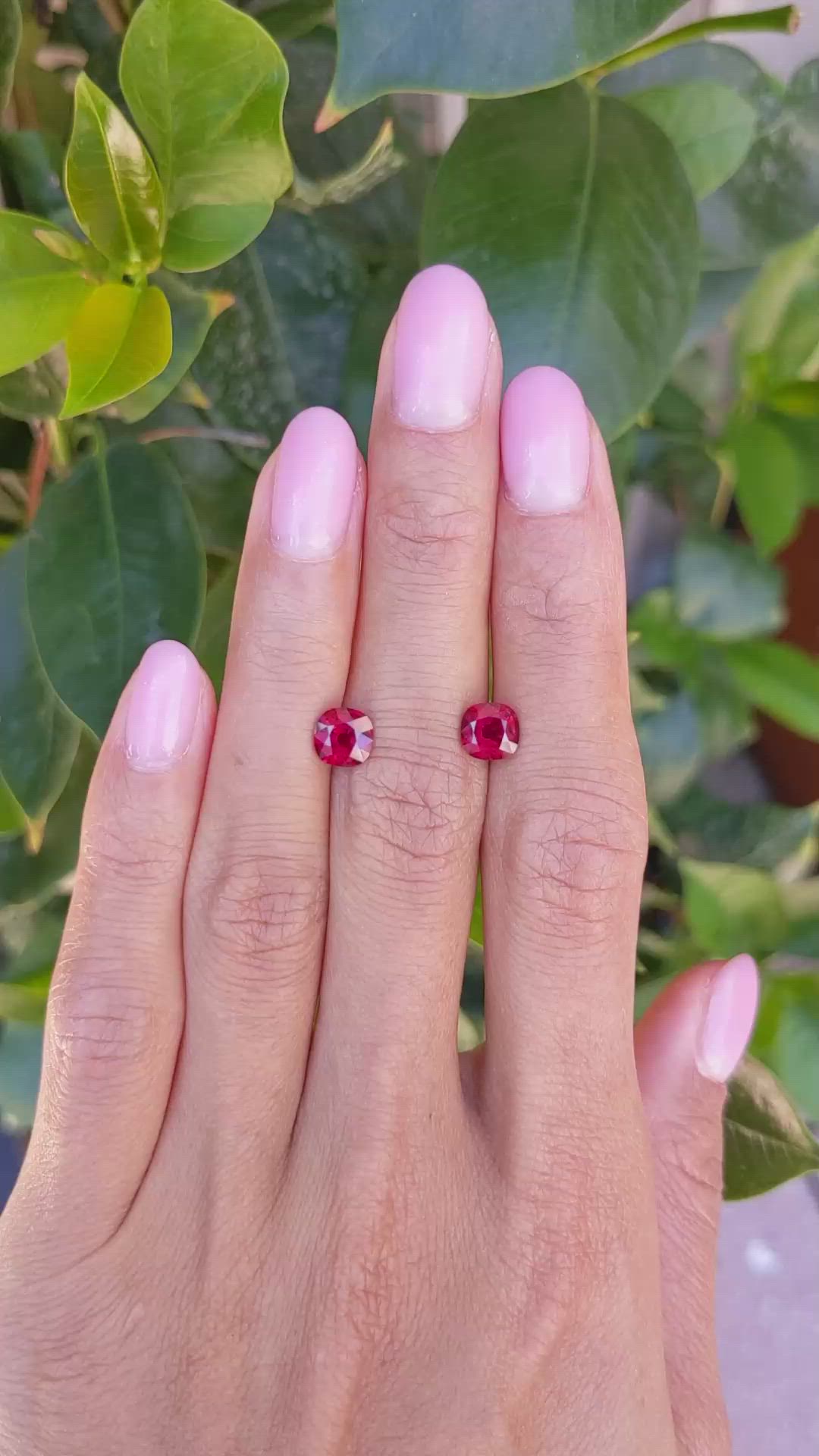 2.18 Ct.Tw.Total Carat Weight Ruby Pair from Mozambique Size Video