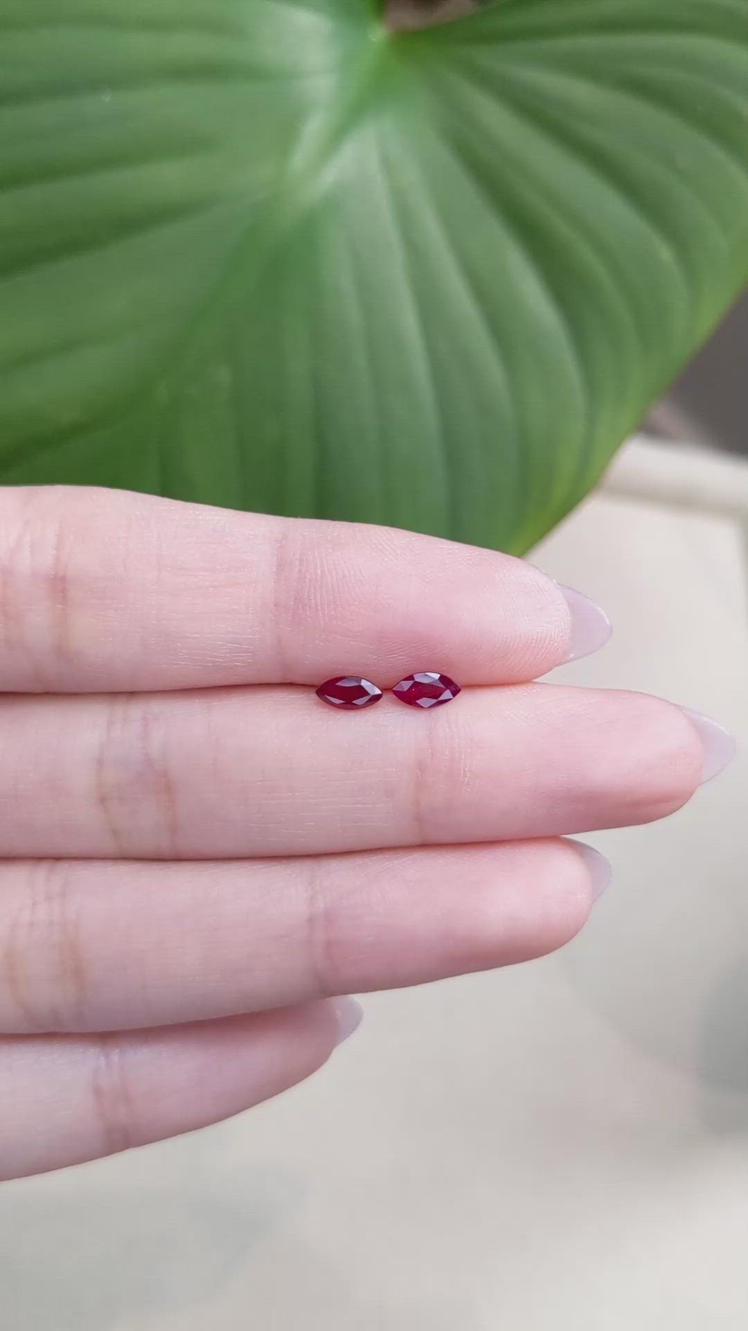 0.67 Ct.Tw.Total Carat Weight Ruby Pair from Mozambique Size Video